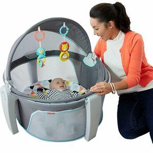 Fisher-Price On the Go Baby Dome